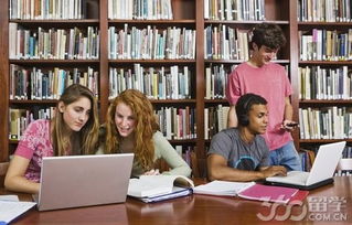 社會熱點推動赴美留學熱門專業申請 留學信息咨詢需求激增